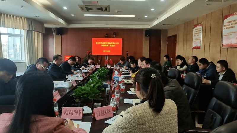 自考本科与网络教育的专业选择与对比解析**